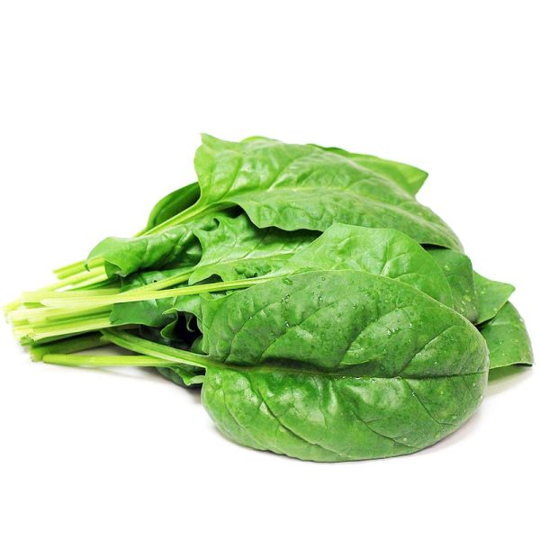 اسفناج