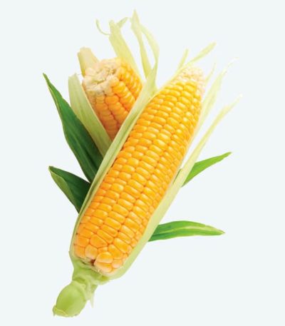 بلال (ذرت)