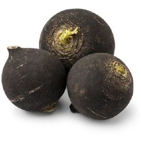 ترب سیاه