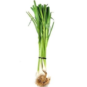 سیر سبز (تازه)