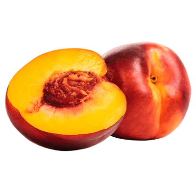 شلیل شمس