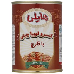 کنسرو گوجه فرنگی با قارج 380 گ هایلی