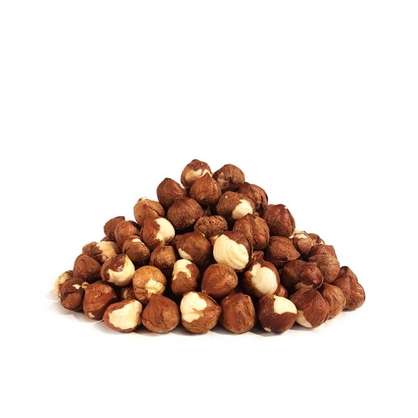 مغز فندق