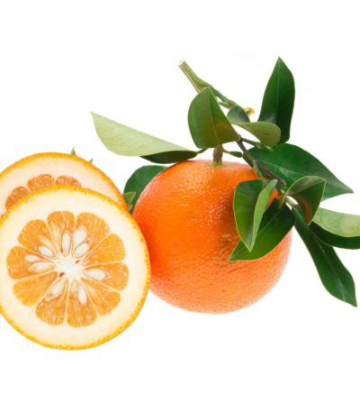 نارنج