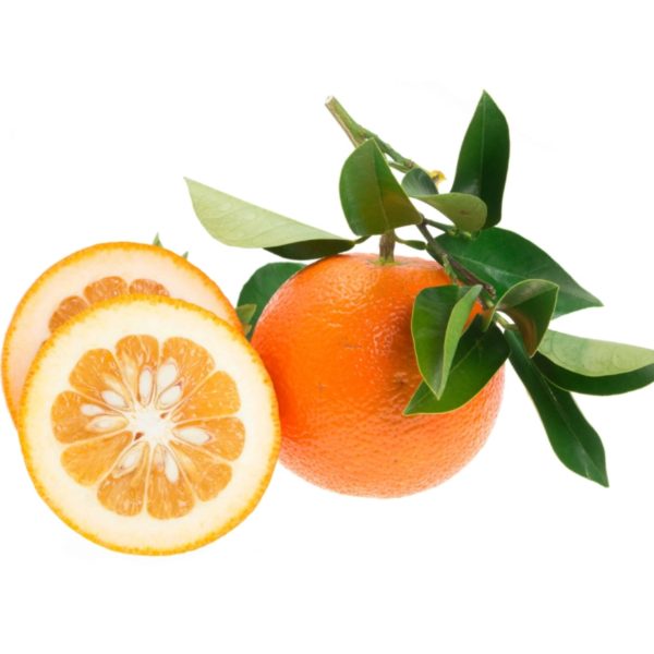 نارنج