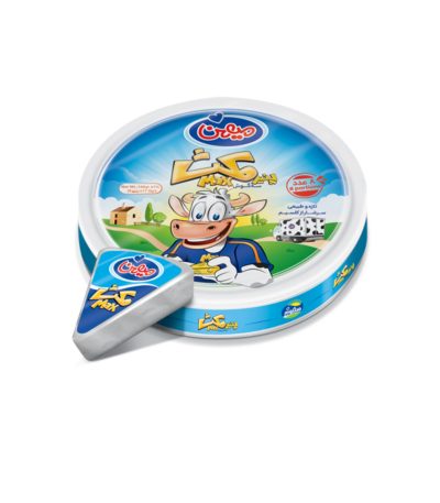 پنیر 3 گوشه مکث میهن