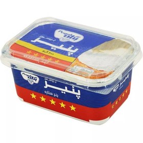 پنیر پروسس 350 گرم پگاه