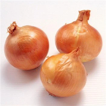 پیاز تازه