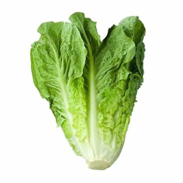 کاهو
