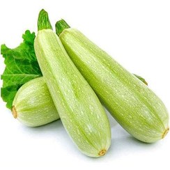 کدو سبز