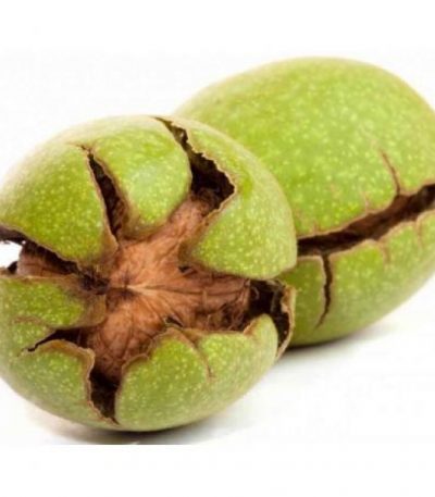 گردو با پوست سبز