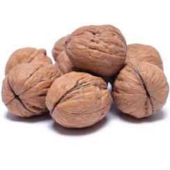 گردو بدون پوست بلغارستان